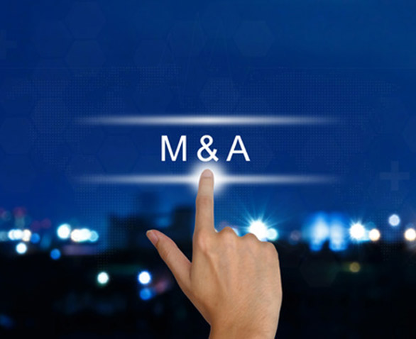 Esprienza in operazioni di M&A e di finanza strutturata.